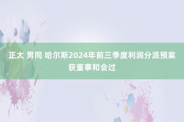 正太 男同 哈尔斯2024年前三季度利润分派预案获董事和会过