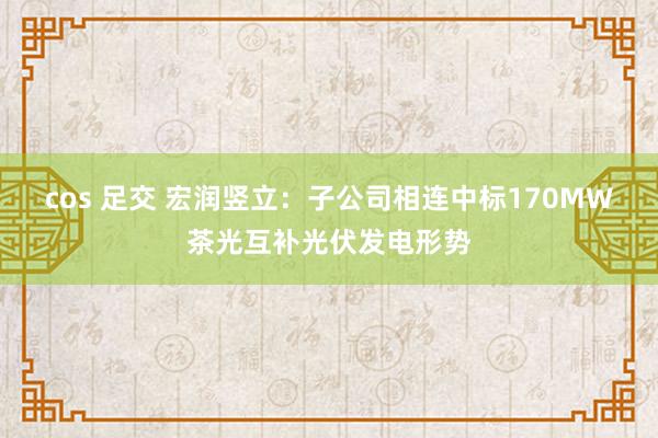 cos 足交 宏润竖立：子公司相连中标170MW茶光互补光伏发电形势