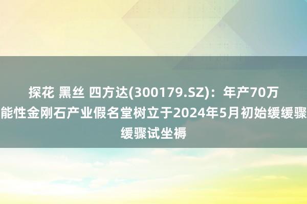 探花 黑丝 四方达(300179.SZ)：年产70万克拉功能性金刚石产业假名堂树立于2024年5月初始缓缓骤试坐褥