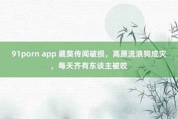 91porn app 藏獒传闻破损，高原流浪狗成灾，每天齐有东谈主被咬