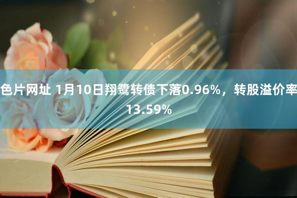 色片网址 1月10日翔鹭转债下落0.96%，转股溢价率13.59%