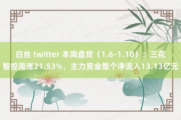 白丝 twitter 本周盘货（1.6-1.10）：三花智控周涨21.53%，主力资金整个净流入13.13亿元