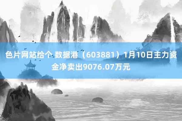 色片网站给个 数据港（603881）1月10日主力资金净卖出9076.07万元