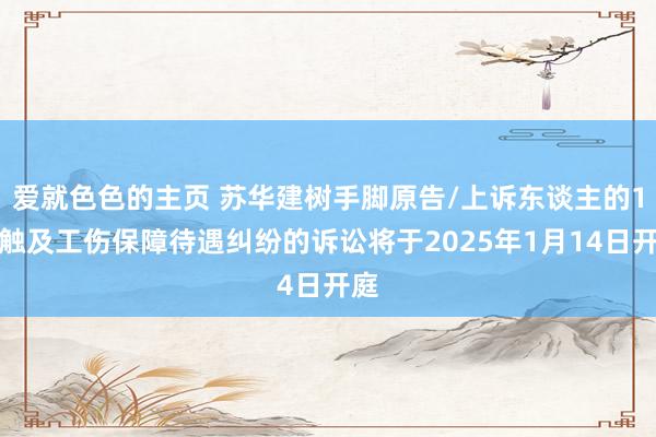 爱就色色的主页 苏华建树手脚原告/上诉东谈主的1起触及工伤保障待遇纠纷的诉讼将于2025年1月14日开庭