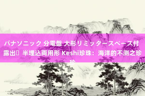 パナソニック 分電盤 大形リミッタースペース付 露出・半埋込両用形 Keshi珍珠：海洋的不测之珍