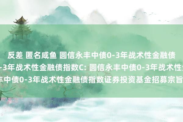 反差 匿名咸鱼 圆信永丰中债0-3年战术性金融债指数A，圆信永丰中债0-3年战术性金融债指数C: 圆信永丰中债0-3年战术性金融债指数证券投资基金招募宗旨书(更新)