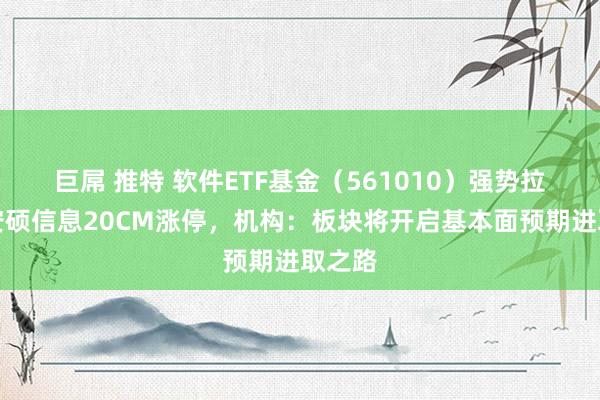 巨屌 推特 软件ETF基金（561010）强势拉升，安硕信息20CM涨停，机构：板块将开启基本面预期进取之路