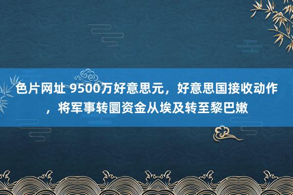 色片网址 9500万好意思元，好意思国接收动作，将军事转圜资金从埃及转至黎巴嫩