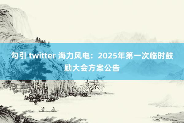 勾引 twitter 海力风电：2025年第一次临时鼓励大会方案公告