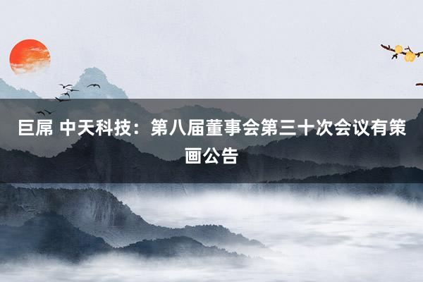 巨屌 中天科技：第八届董事会第三十次会议有策画公告