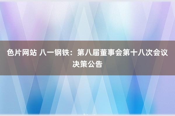 色片网站 八一钢铁：第八届董事会第十八次会议决策公告